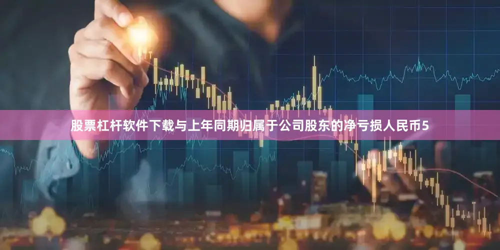 股票杠杆软件下载与上年同期归属于公司股东的净亏损人民币5