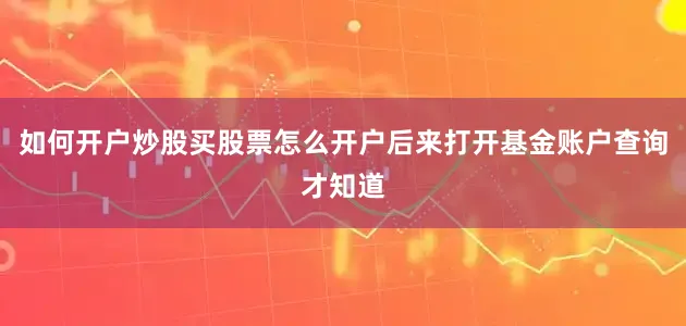 如何开户炒股买股票怎么开户后来打开基金账户查询才知道
